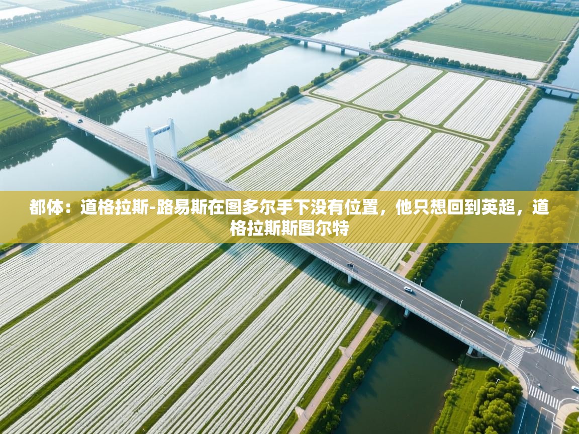 都体：道格拉斯-路易斯在图多尔手下没有位置，他只想回到英超，道格拉斯斯图尔特  第1张