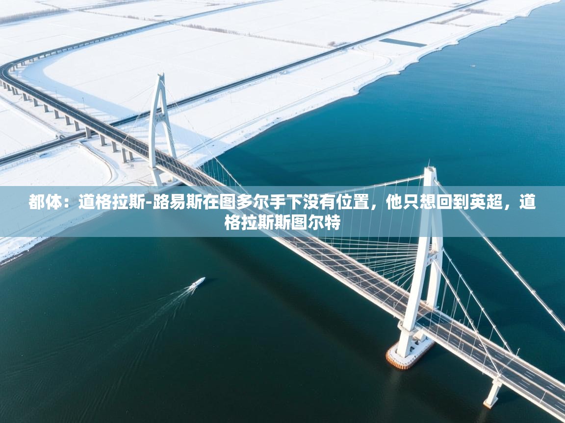 都体：道格拉斯-路易斯在图多尔手下没有位置，他只想回到英超，道格拉斯斯图尔特  第2张