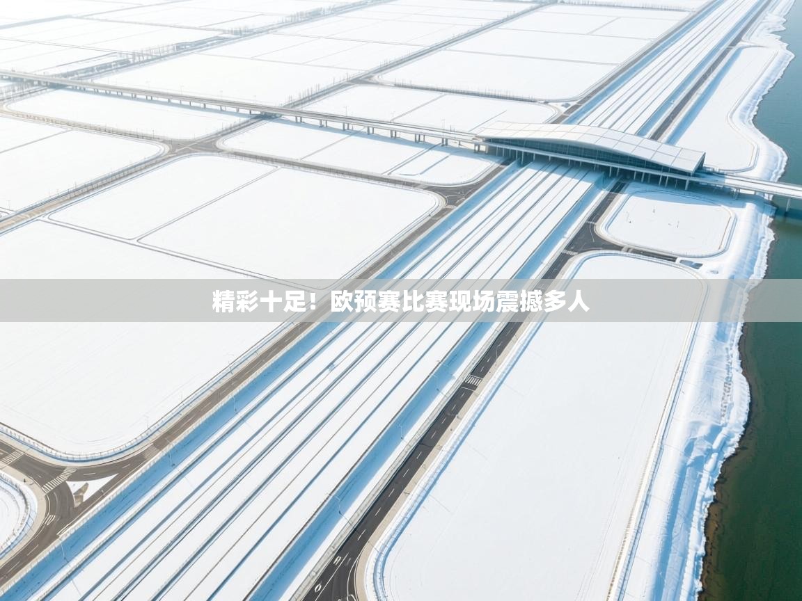 精彩十足！欧预赛比赛现场震撼多人  第1张