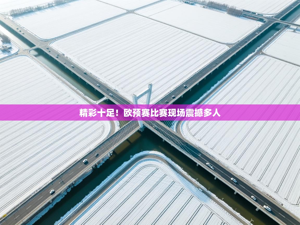 精彩十足！欧预赛比赛现场震撼多人  第2张
