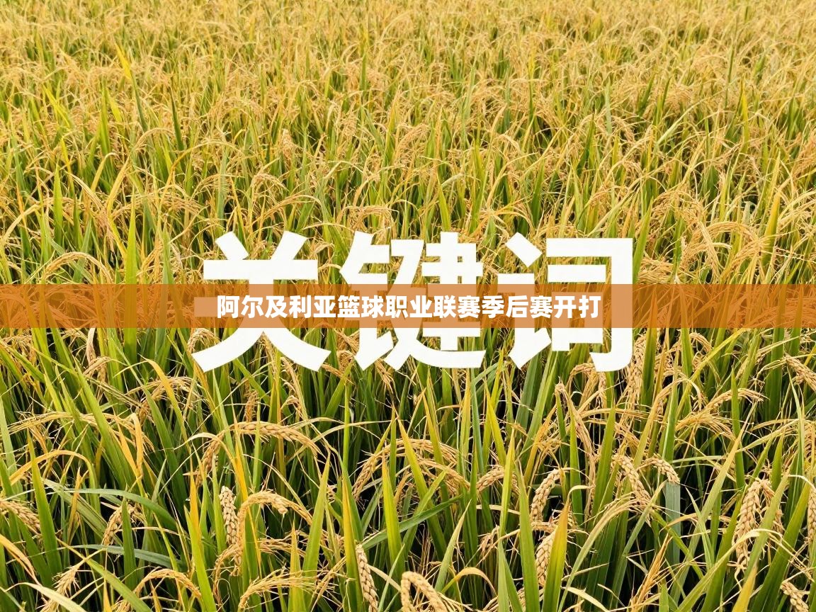 阿尔及利亚篮球职业联赛季后赛开打 第2张