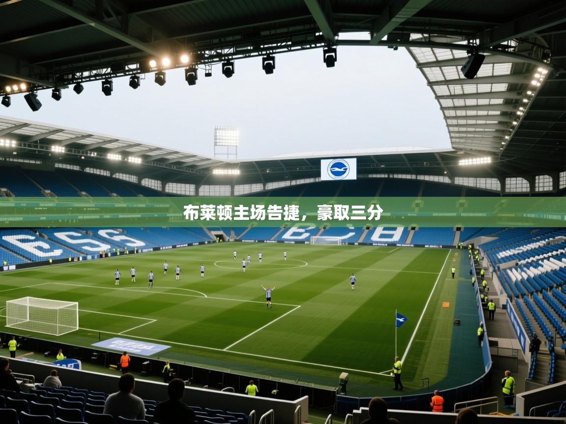 布莱顿主场告捷,豪取三分 第2张