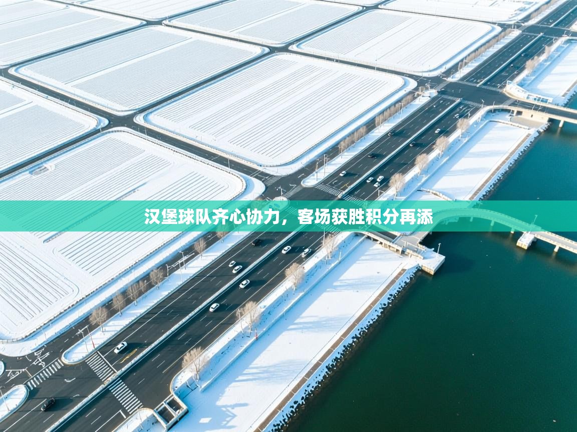 汉堡球队齐心协力，客场获胜积分再添  第2张